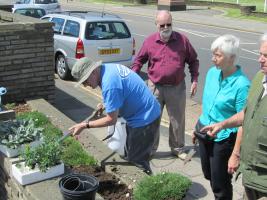 Club members tending boxes of plants displayed along Worthing seafront